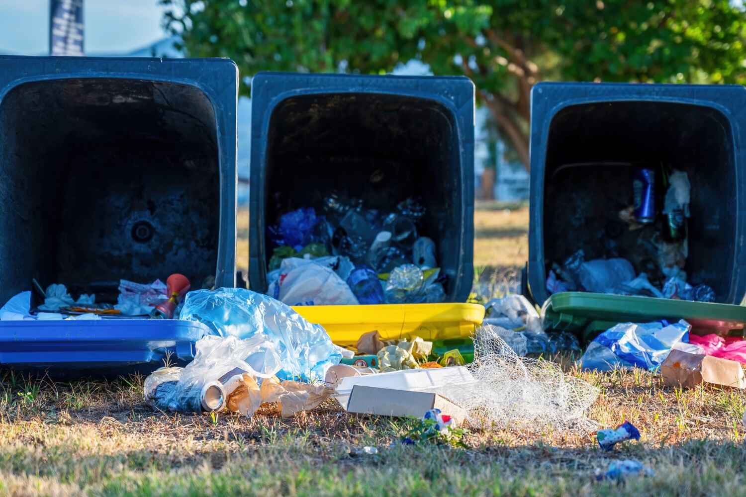 Best Office Junk Removal  in Palm Springs, CA